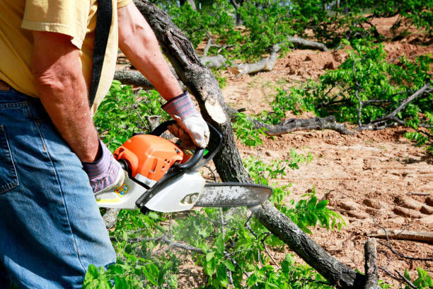 Best Dead Tree Removal  in Atoka, TN